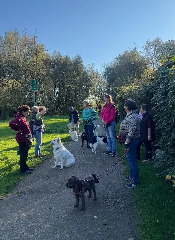 Trainingspaziergang mit Hund